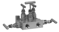 Model 505DM 5-Valve Manifold